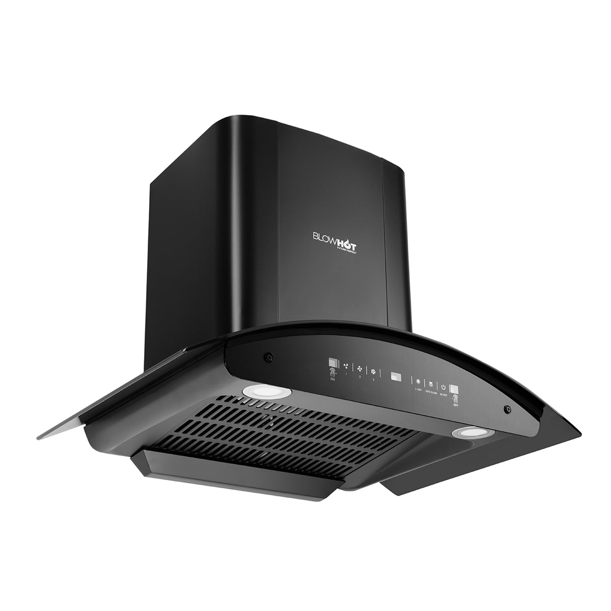 Camellia BAC MS (75)