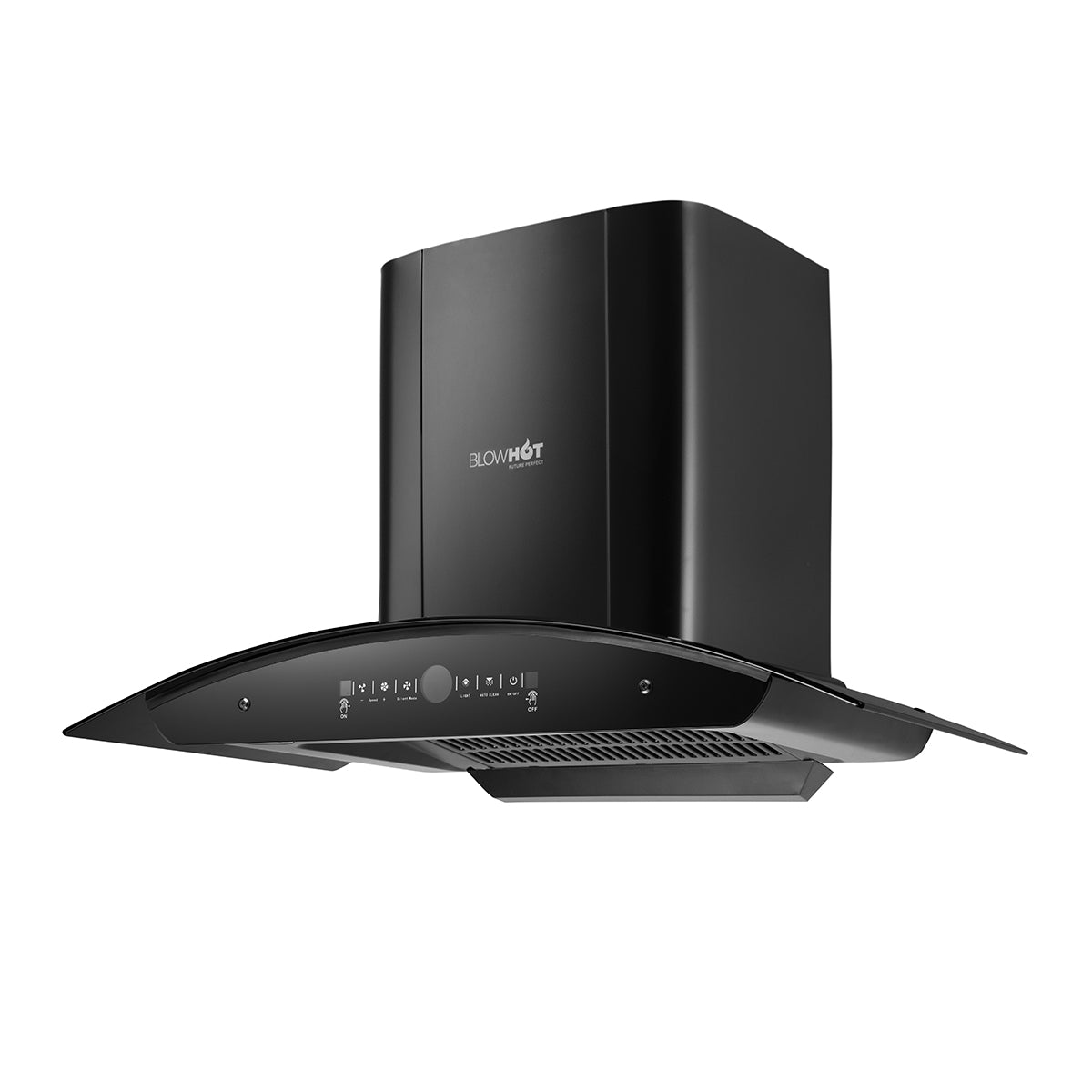 Erica BAC MS BLDC (90)