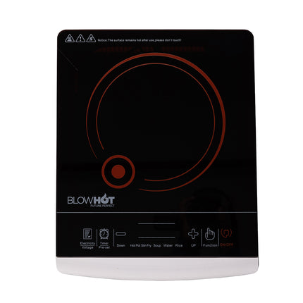 BL 100 (VENUS)
