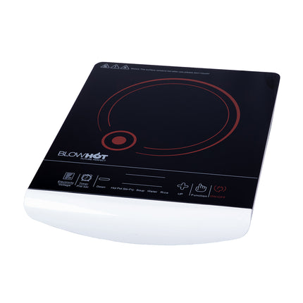 BL 100 (VENUS)
