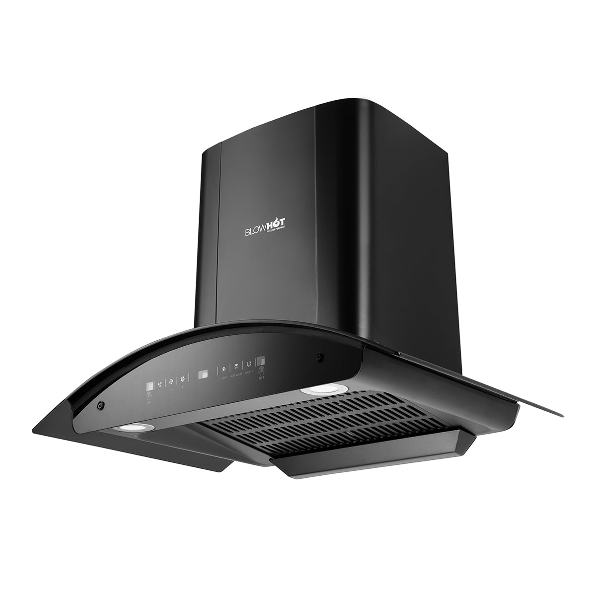 Camellia BAC MS (75)