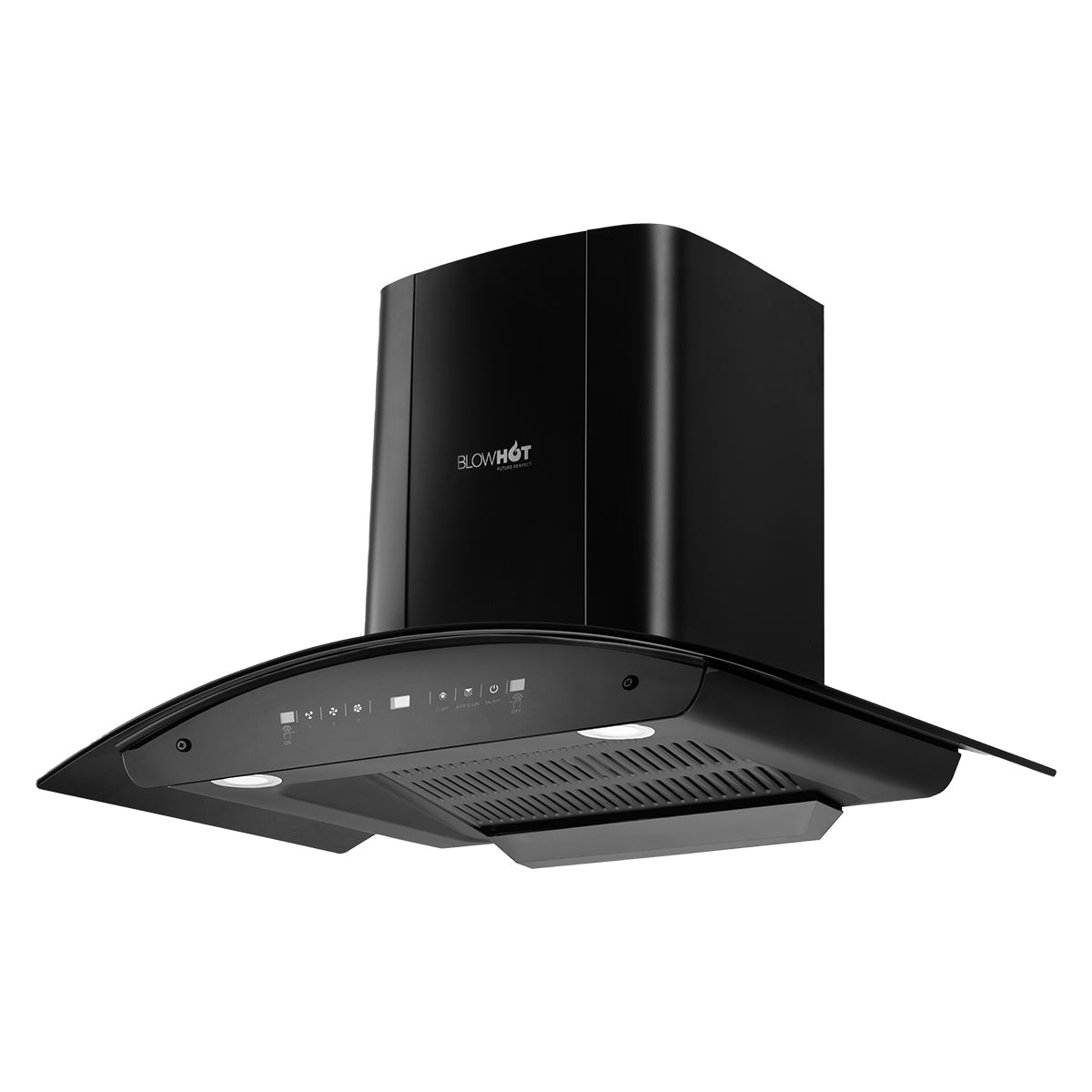 CAMELLIA BAC MS (90)