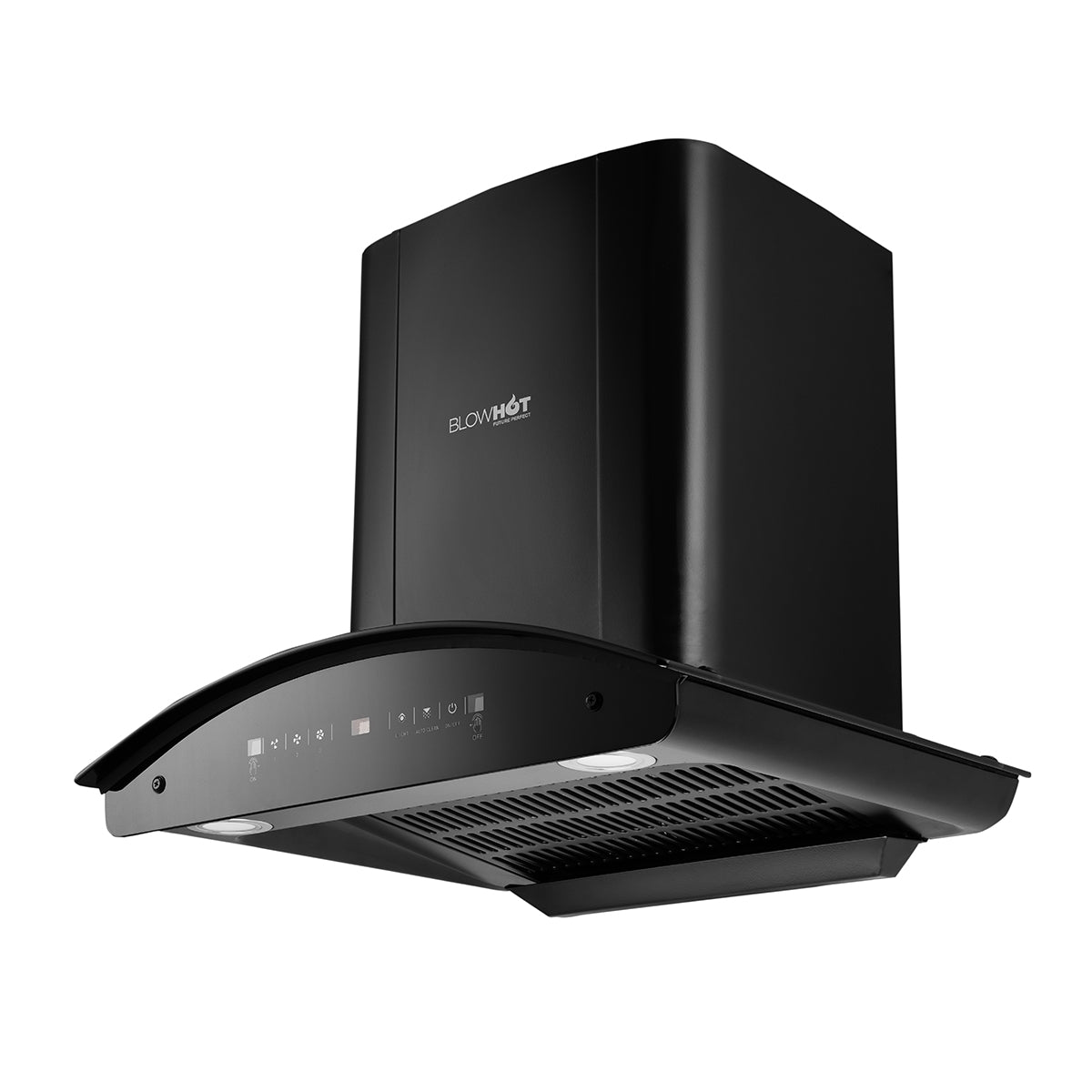 Camellia BAC MS (60)