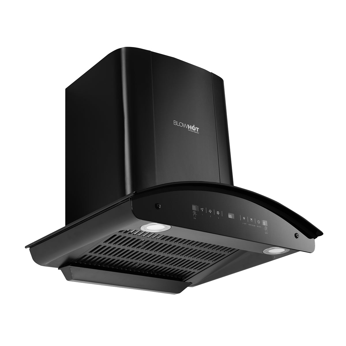 Camellia BAC MS (60)