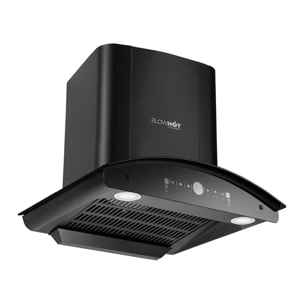 Erica BAC MS BLDC (60)