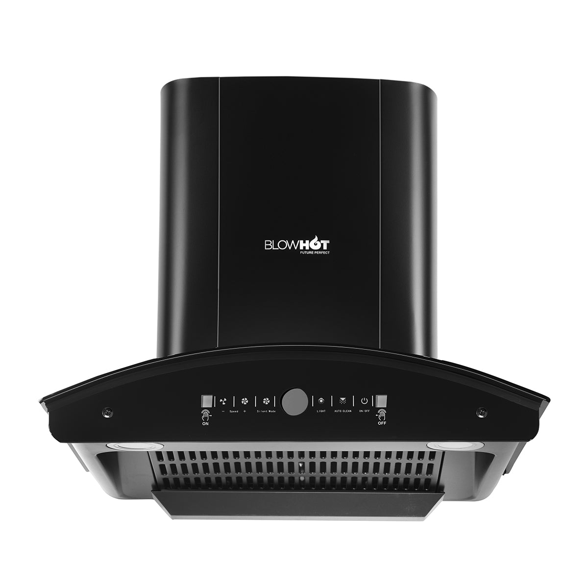 Erica BAC MS BLDC (60)