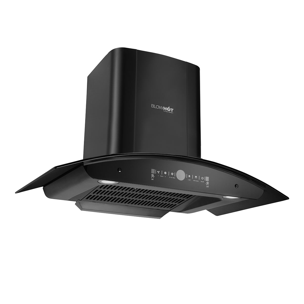 Erica BAC MS BLDC (90)