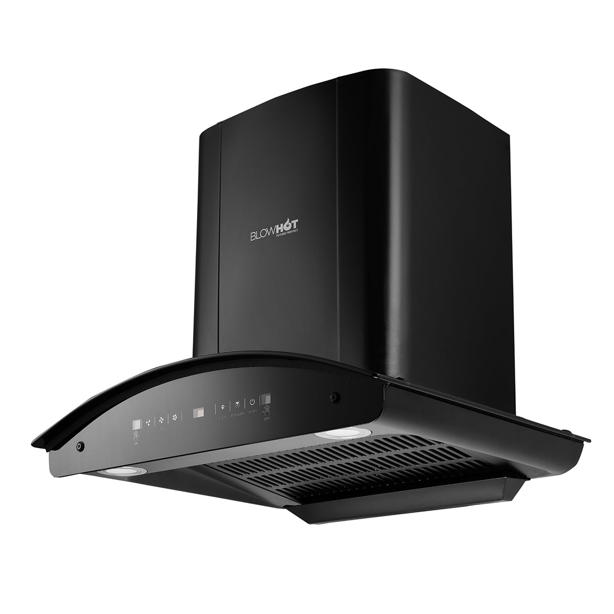 Erica Plus BAC MS (60)