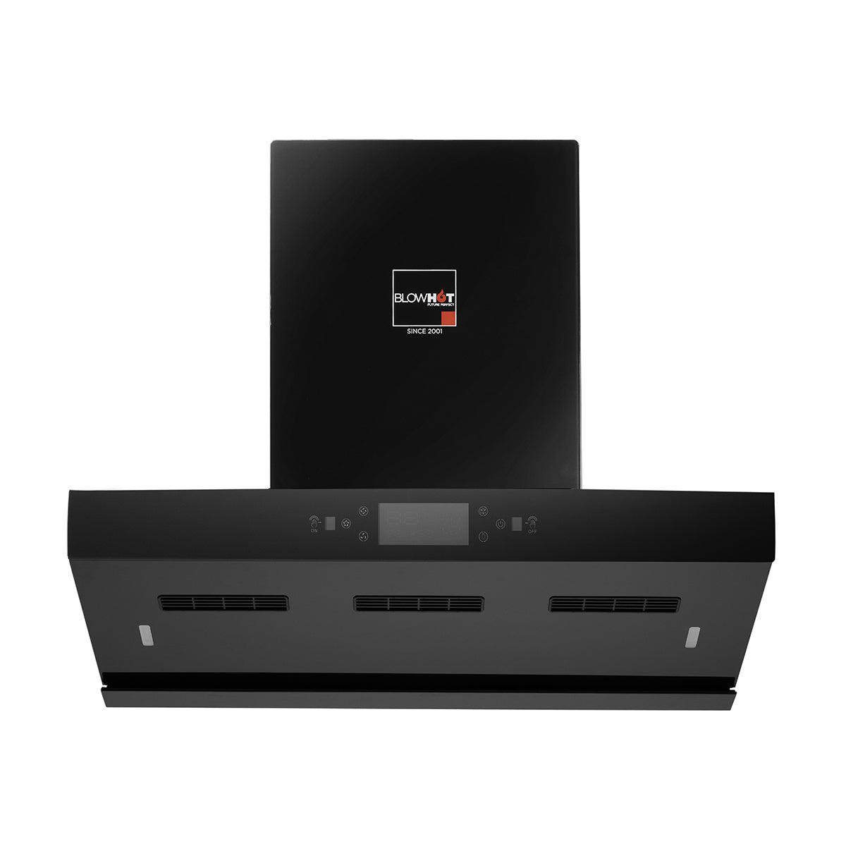 Tashia BAC MS (90cm)