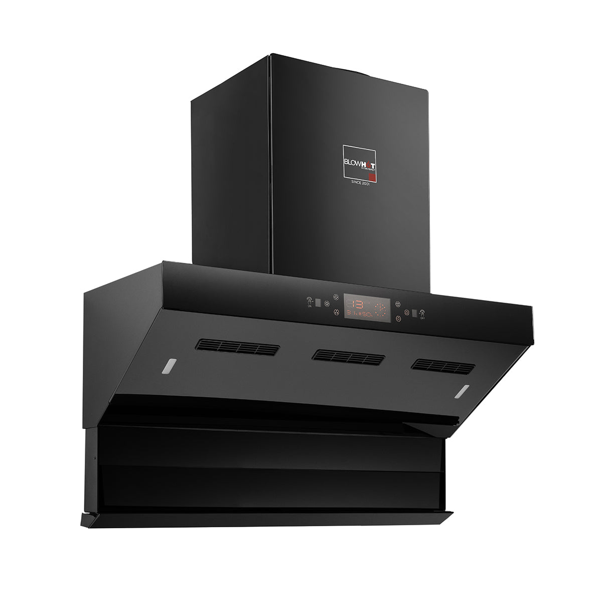 Tashia BAC MS (90cm)